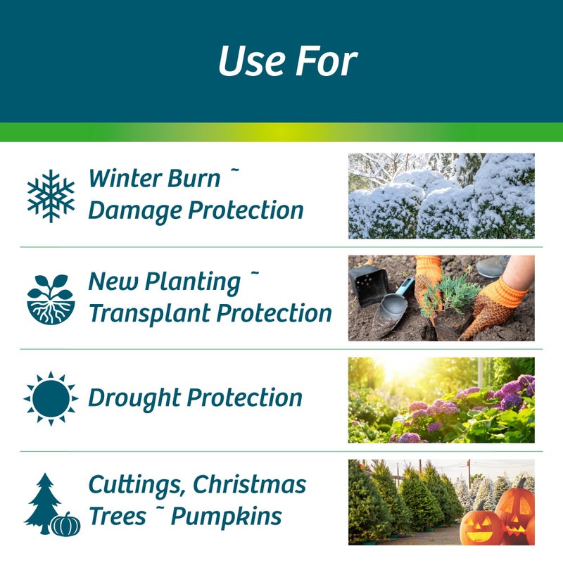 Wilt-PrufÂ® Concentrate | Protect Against Winter Damage, Drought, and Stress | Just Spray & Let Dry | Locks in Moisture w/Clear Foliar Film | Professional-Grade & Trusted | Replaces Burlap | (1 Gal) - Image 2